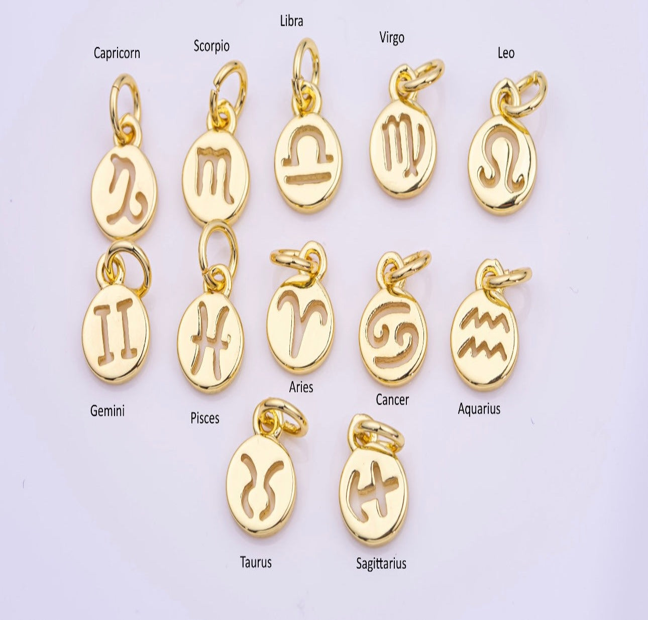 Zodiac Sign Charms