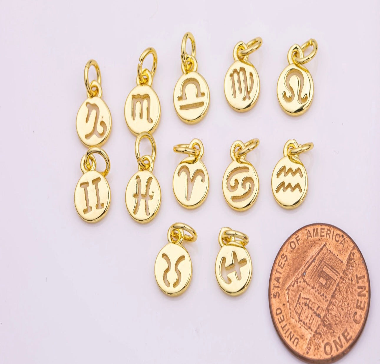 Zodiac Sign Charms